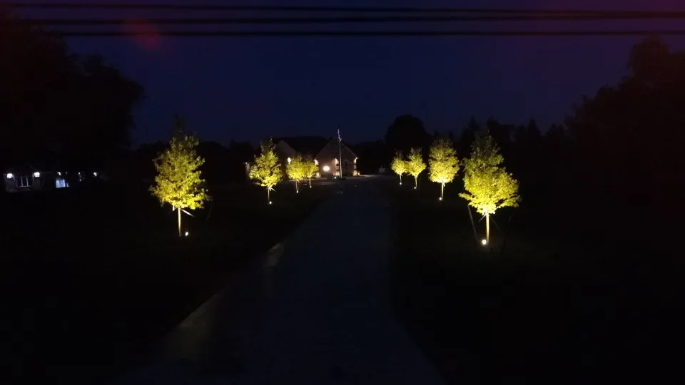 Bring Your Landscape Vision to Life